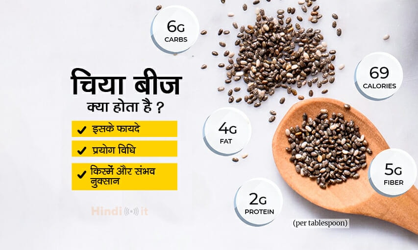 Chia Seeds kya hota hai aur Benefits in Hindi