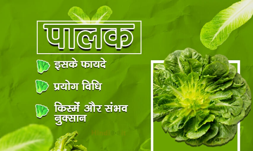 What is spinach in Hindi, Palak ke fayde