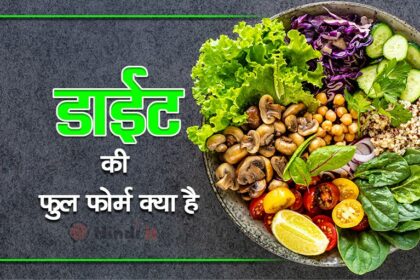 diet full form in hindi