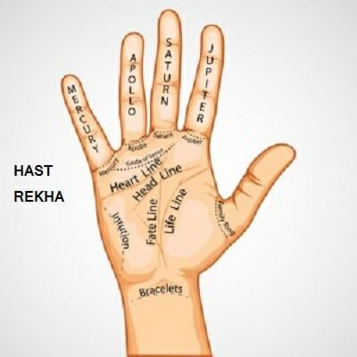 hast-rekha-types