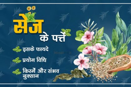 sage leaves benefits hindi