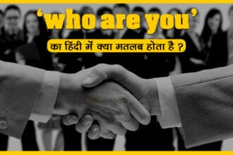 who-are-you meaning in Hindi